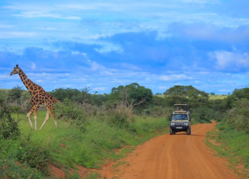Tech Innovations are Reshaping Uganda’s Tourism